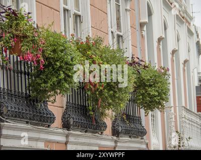 File di piante e fiori su balconi lungo un'elegante fila di edifici, la palma, Isole canarie, spagna Foto Stock