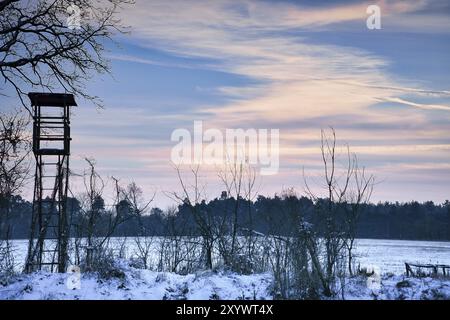 Paesaggio invernale con alberi ai margini di un campo innevato con cuoio rialzato. Foto di paesaggi invernali Foto Stock