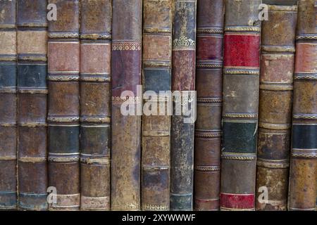 Libreria antiquaria sul ripiano Foto Stock