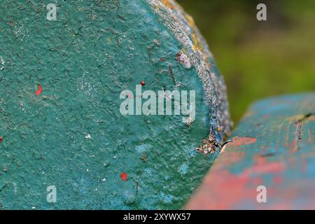 scheggiatura di strati di vernice sulla vecchia panchina del parco, primo piano / macrofotografia Foto Stock