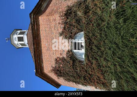 Colombe a Dovecote, Felbrigg Hall, vicino a Cromer, Norfolk, Inghilterra, REGNO UNITO Foto Stock