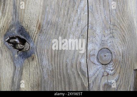 Texture di sfondo di legno grigio intemprato con nodi, spazio di copia Foto Stock