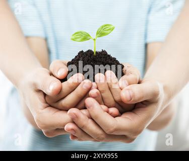 Nuovo concetto di vita, mani di genitori e bambini che tengono in mano la piccola crescita di foglie di germoglio di piante verdi su terreno sporco mucchio bianco isolato Foto Stock