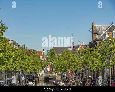 Le case fiancheggiano un canale, fiancheggiato da alberi e parcheggiano auto sotto un cielo limpido, alkmaar, paesi bassi Foto Stock