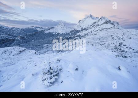 Macizo del Puig Major1436 metros, Escorca, sierra de tramontana, maiorca, isole baleari, spagna, europa Foto Stock