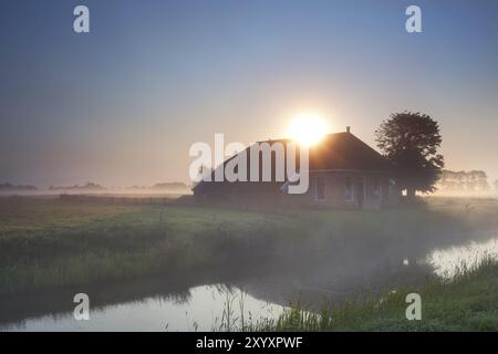 Raggi di sole sulla fattoria in nebbia mattutina Foto Stock