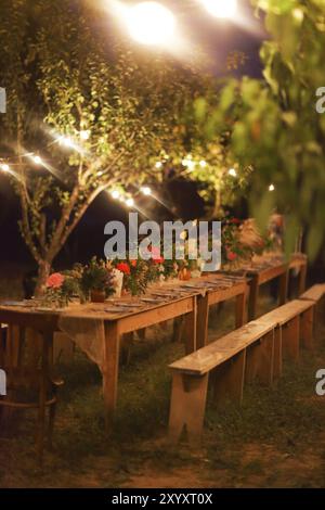 Tabella preparata per un rustico cena all'aperto durante la notte con wineglasses, fiori e lampade Foto Stock