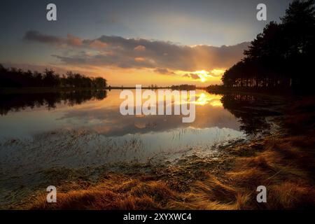 Tramonto spettacolare e silenzioso sul piccolo lago nella foresta di Dwingelderveld, Paesi Bassi Foto Stock