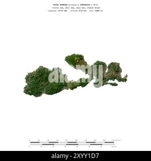 Pulau Sumbawa nel mare di Bali, appartenente all'Indonesia, isolato su un'immagine satellitare scattata il 15 giugno 2015, con scala di distanza Foto Stock