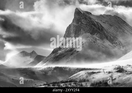 Neve alla deriva nella valle di Stuor Reaiddavaggi, Kebnekaisefjaell, Norrbotten, Lapponia, Svezia, marzo 2014, Europa Foto Stock