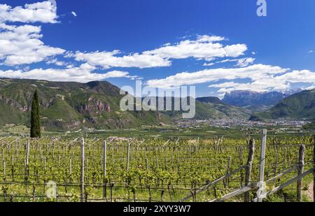 Itinerario dei tre Castelli, Bolzano, alto Adige Foto Stock