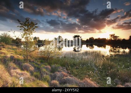 Splendido sole d'oro che tramonta sulla palude selvaggia in primavera Foto Stock