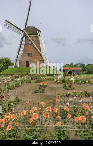 Mulino a vento sullo sfondo di un ampio giardino fiorito sotto un cielo nuvoloso, Eibergen, Gheldria, Paesi Bassi Foto Stock