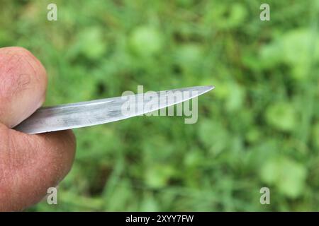 Blick am Freitag 30.08.2024 in der Peenestadt Neukalen Landkreis Mecklenburgische Seenplatte auf ein Jagdmesser vor einer Grünfläche. Die Bundesrepublik will ihre Gesetze nach dem tödlichen Messangriff von Solingen noch einmal weiter verschärfen. Danach soll u.a. das Mitführen von Messern mit einer Klingenlänge über sechs Zentimeter untersagt sein. *** Vai al 30 08 2024 nella città di Peene di Neukalen, nel distretto dei laghi del Meclemburgo, su un coltello da caccia di fronte a un'area verde la Repubblica Federale di Germania vuole inasprire ulteriormente le sue leggi dopo il mortale attacco con coltello a Solingen Foto Stock