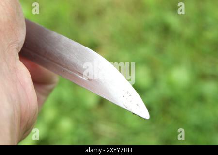 Blick am Freitag 30.08.2024 in der Peenestadt Neukalen Landkreis Mecklenburgische Seenplatte auf ein Jagdmesser vor einer Grünfläche. Die Bundesrepublik will ihre Gesetze nach dem tödlichen Messangriff von Solingen noch einmal weiter verschärfen. Danach soll u.a. das Mitführen von Messern mit einer Klingenlänge über sechs Zentimeter untersagt sein. *** Vai al 30 08 2024 nella città di Peene di Neukalen, nel distretto dei laghi del Meclemburgo, su un coltello da caccia di fronte a un'area verde la Repubblica Federale di Germania vuole inasprire ulteriormente le sue leggi dopo il mortale attacco con coltello a Solingen Foto Stock