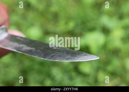 Blick am Freitag 30.08.2024 in der Peenestadt Neukalen Landkreis Mecklenburgische Seenplatte auf ein Jagdmesser vor einer Grünfläche. Die Bundesrepublik will ihre Gesetze nach dem tödlichen Messangriff von Solingen noch einmal weiter verschärfen. Danach soll u.a. das Mitführen von Messern mit einer Klingenlänge über sechs Zentimeter untersagt sein. *** Vai al 30 08 2024 nella città di Peene di Neukalen, nel distretto dei laghi del Meclemburgo, su un coltello da caccia di fronte a un'area verde la Repubblica Federale di Germania vuole inasprire ulteriormente le sue leggi dopo il mortale attacco con coltello a Solingen Foto Stock