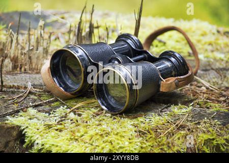 Binocoli in metallo d'epoca con cinturino in pelle su un lussureggiante muschio verde in una foresta. Messa a fuoco selettiva Foto Stock