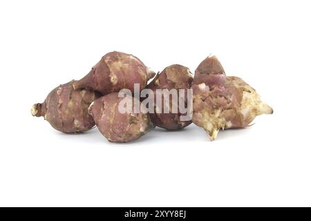 Tuberi Sunchokes isolati su sfondo bianco. Carciofi di Gerusalemme (Helianthus tuberosus), girasole selvatico o topinambur Foto Stock