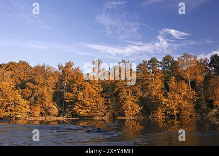 Bellissimi colori autunnali forest riflessa nel fiume Foto Stock