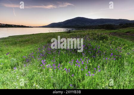 Embalse de Plasencia, Caceres, Estremadura, Spagna, Europa, Europa Foto Stock