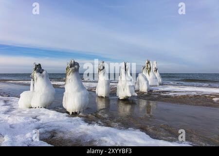 Groyne in inverno sulla costa baltica vicino a Kuehlungborn Foto Stock