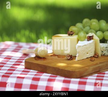 Vari tipi di formaggio con uve outdoor Foto Stock