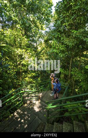 Fotografare i turisti, fare un percorso nella foresta pluviale fino a Cerro Tortuguero, Parco Nazionale di Tortuguero, Costa Rica, America centrale Foto Stock