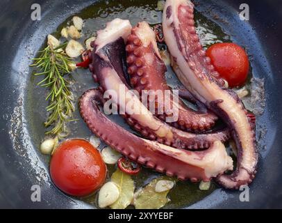 Calamari, polpo, olio d'oliva, aglio, pomodori, in PAN, Food, Stoccarda, Baden-Wuerttemberg, Germania, Europa Foto Stock