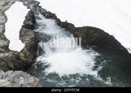 Ruscello nelle Alpi Abisko, Norrbotten, Lapponia, Svezia, luglio 2013, Europa Foto Stock