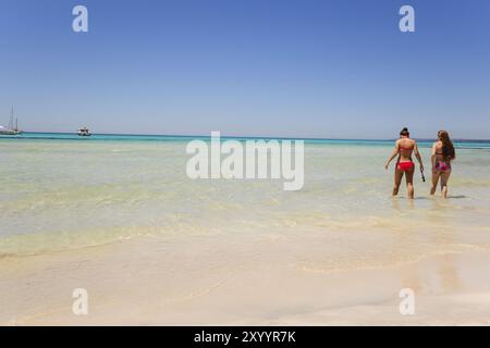 Spiaggia di es Trenc. Maiorca. Isole Baleari. Spagna Foto Stock