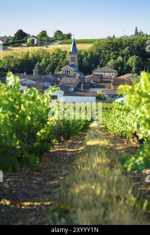 Villaggio di Saint Julien e piaga nella terra del Beaujolais, Francia, Europa Foto Stock