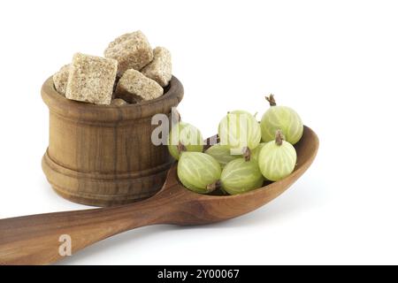 Uva spina verde matura in un cucchiaio di legno accanto ai cubetti di zucchero di canna in un recipiente di legno, per conservare gli alimenti Foto Stock