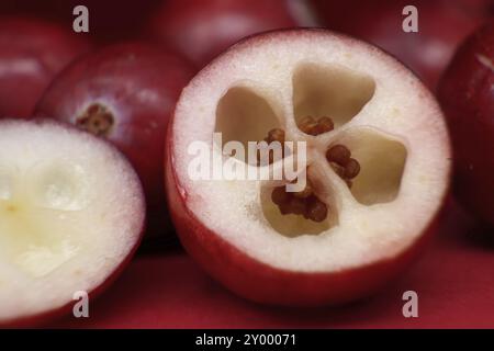 Mirtillo rosso a metà taglio che rivela un interno bianco con semi rossi, immagine macro Foto Stock