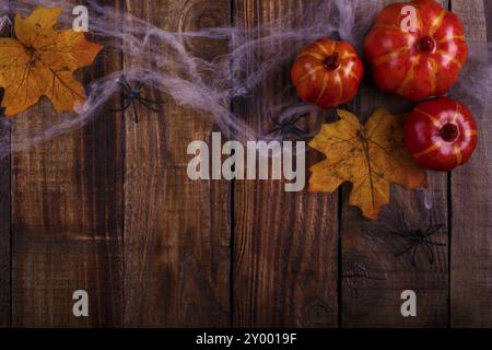 Decorazioni di Halloween su vecchio sfondo in legno, zucche, foglie essiccate, ragni in una rete con spazio per le copie Foto Stock