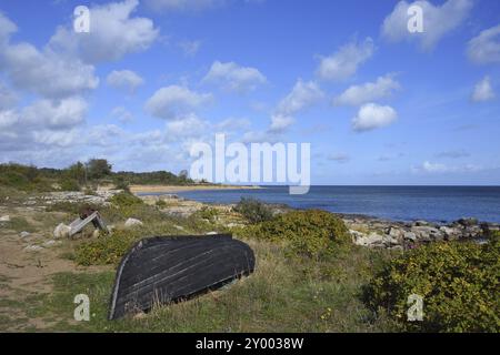 Vista sulla costa svedese sul mar baltico, vicino a skane, varhallen. Costa di Skane sul Mar Baltico in Svezia varhallen, oesterlen Foto Stock