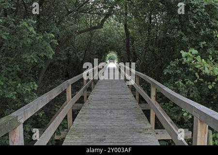 Passeggiata sul lungomare attraverso il fossato Foto Stock