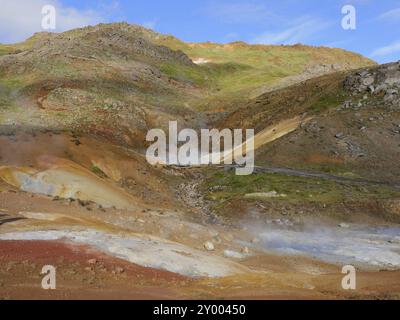 Campo solfatar di Seltun nel sistema vulcanico Krysuvik nel sud della penisola di Reykjanes in Islanda Foto Stock