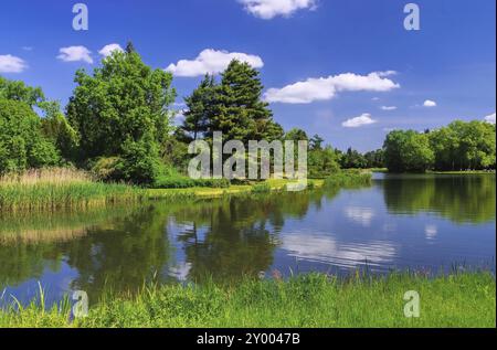 Woerlitzer Park SEE, terreni inglesi del lago Woerlitz 18 Foto Stock