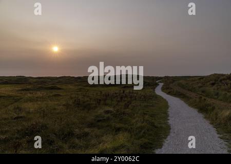 Tramonto e percorso a piedi su Ameland, Frisia, Paesi Bassi Foto Stock