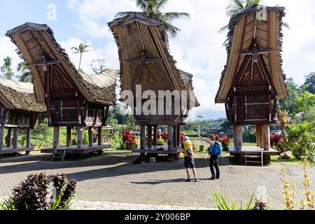 Turisti in vacanza a KE'te Kesu, villaggio tradizionale con vecchie case tradizionali chiamate tongkonan e bel riso barnes, Tana Toraja, Sulawesi Foto Stock