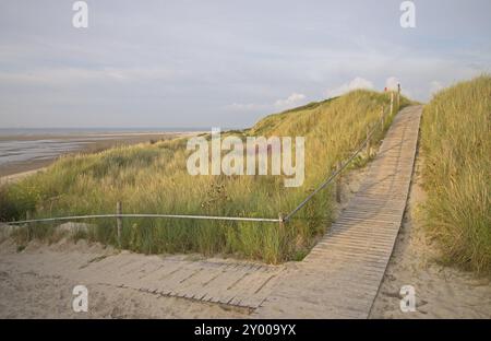 Dune lungo il tedesco nel Mare del Nord Foto Stock