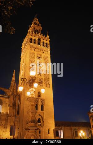 Dettaglio della Torre la Giralda di Siviglia da Plaza Virgen de los Reyes di notte. Il campanile della cattedrale di Siviglia era in precedenza un minareto della Foto Stock