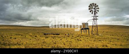 Texas ruota nell'Outback a Tumut Nuovo Galles del Sud Australia Foto Stock