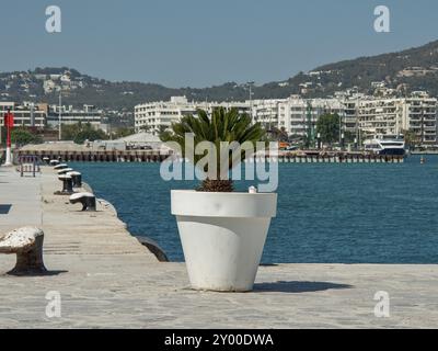 Passeggiata sul porto con piante in vaso, panchine e vista sull'acqua e sugli edifici sotto il cielo limpido, ibiza, Mar mediterraneo, spagna Foto Stock