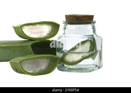 Aloe vera fette di foglia in vaso di vetro isolato su sfondo bianco, ingredienti cosmetici organici, medicina alternativa Foto Stock