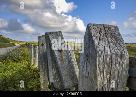 Den Helder, Paesi Bassi. Novembre 2021. Vecchia recinzione in legno con faro sullo sfondo. Foto Stock