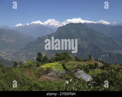 Paesaggio nell'area di conservazione dell'Annapurna, Nepal, Asia Foto Stock