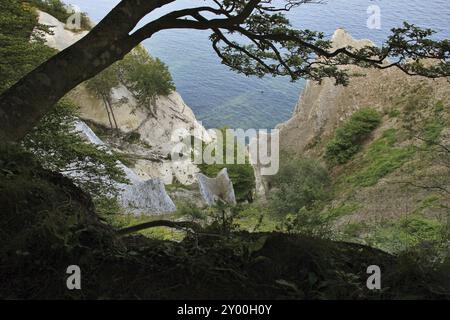 Formazione calcarea a Moens Klint, costa orientale Foto Stock