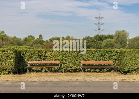 Due panchine, circondate da una siepe, viste nel Nordsternpark, Gelsenkirchen, Renania settentrionale-Vestfalia, Germania, Europa Foto Stock