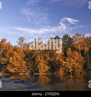 Bellissimi colori autunnali forest riflessa nel fiume Foto Stock